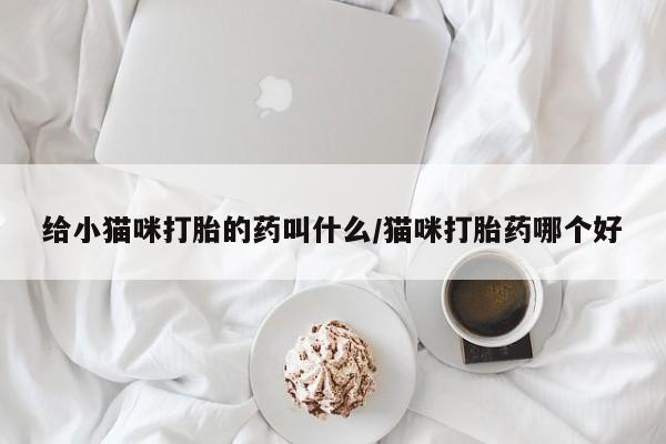 打胎药全国包邮购买联系方式微信给小猫咪打胎的药叫什么/猫咪打胎药哪个好