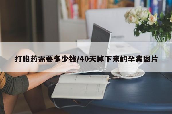 打胎药全国包邮购买联系方式微信打胎药需要多少钱/40天掉下来的孕囊图片